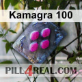 Kamagra 100 638