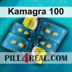 Kamagra 100 728