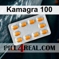 Kamagra 100 817