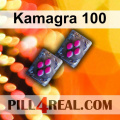 Kamagra 100 882