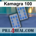 Kamagra 100 902