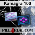 Kamagra 100 905