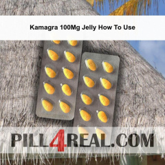 Kamagra 100Mg Jelly How To Use 055