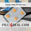 Kamagra 100Mg Jelly How To Use 227