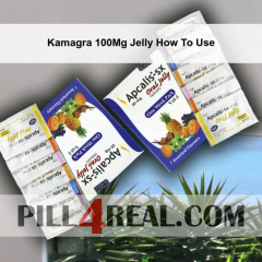 Kamagra 100Mg Jelly How To Use 588