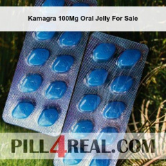 Kamagra 100Mg Oral Jelly For Sale 510