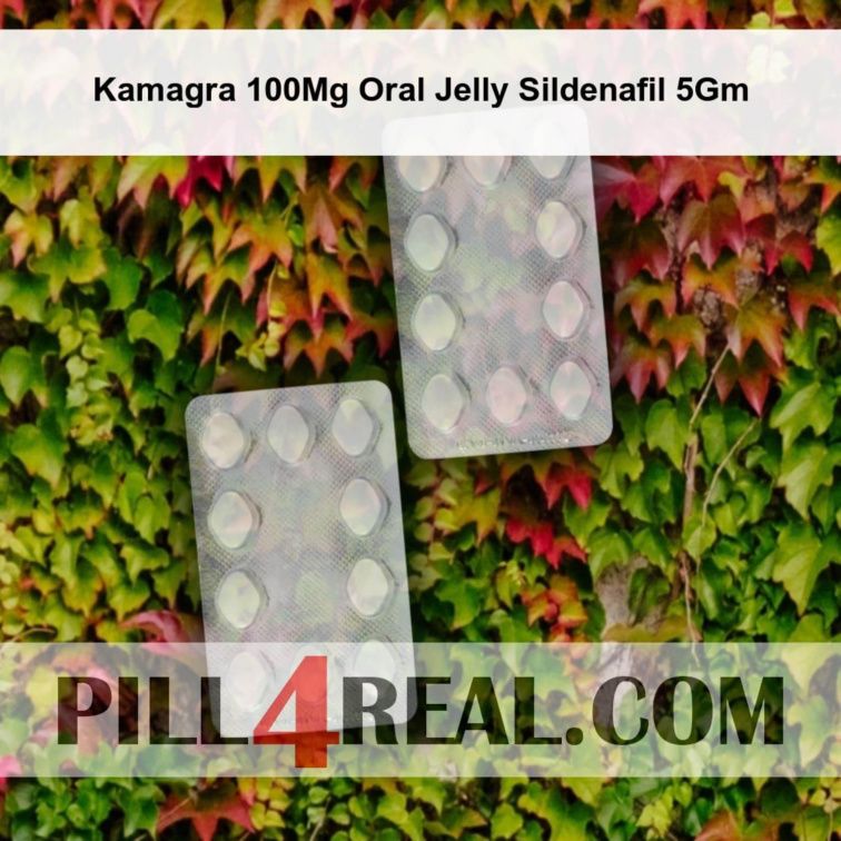 Kamagra 100Mg Oral Jelly Sildenafil 5Gm 575