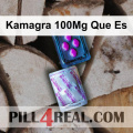 Kamagra 100Mg Que Es 535