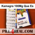 Kamagra 100Mg Que Es 550