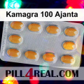 Kamagra 100 Ajanta 184