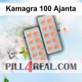 Kamagra 100 Ajanta 772