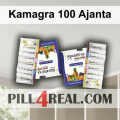 Kamagra 100 Ajanta 844