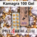 Kamagra 100 Gel 819