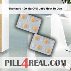 Kamagra 100 Mg Oral Jelly How To Use 197