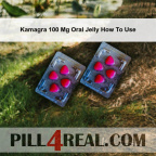 Kamagra 100 Mg Oral Jelly How To Use 446