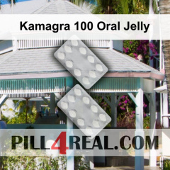 Kamagra 100 Oral Jelly 076