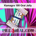 Kamagra 100 Oral Jelly 730