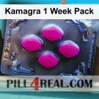 Kamagra 1 Week Pack 810