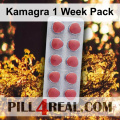 Kamagra 1 Week Pack 879