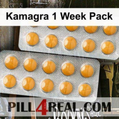 Kamagra 1 Week Pack 884