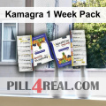 Kamagra 1 Week Pack 974
