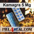 Kamagra 5 Mg 379