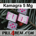 Kamagra 5 Mg 859