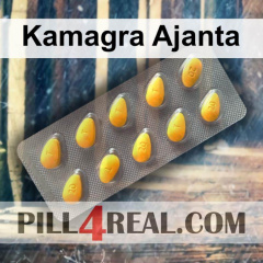 Kamagra Ajanta 132