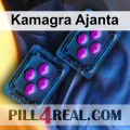 Kamagra Ajanta 133