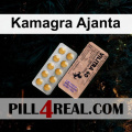 Kamagra Ajanta 236