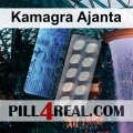 Kamagra Ajanta 239