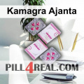 Kamagra Ajanta 371