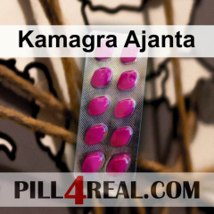 Kamagra Ajanta 376