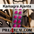 Kamagra Ajanta 376
