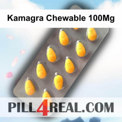 Kamagra Chewable 100Mg 160