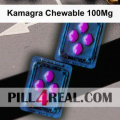 Kamagra Chewable 100Mg 485