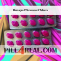 Kamagra Effervescent Tablets 366