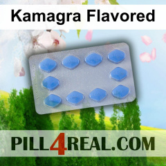 Kamagra Flavored 350