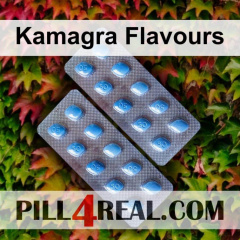 Kamagra Flavours 480