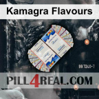 Kamagra Flavours 600
