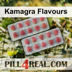 Kamagra Flavours 991