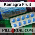 Kamagra Fruit 404