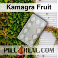 Kamagra Fruit 475
