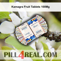 Kamagra Fruit Tablets 100Mg 241