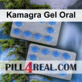 Kamagra Gel Oral 245