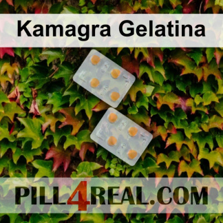 Kamagra Gelatina 380