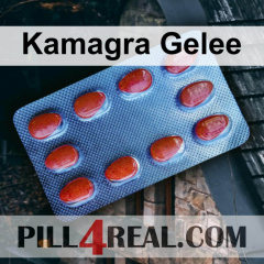 Kamagra Gelee 079