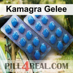 Kamagra Gelee 109
