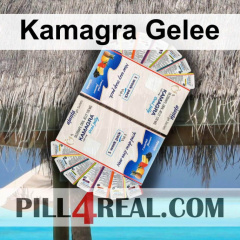 Kamagra Gelee 930