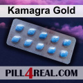 Kamagra Gold 221